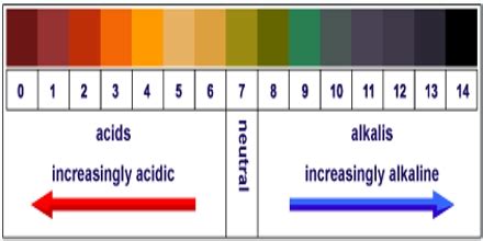 Acids and Alkalis - Assignment Point