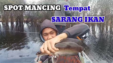 Sport Mancing Alam Liar Tempat Sarang Ikan Youtube