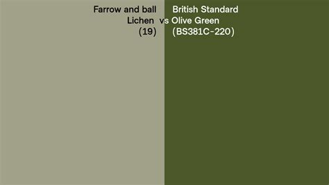 Farrow And Ball Lichen 19 Vs British Standard Olive Green BS381C 220