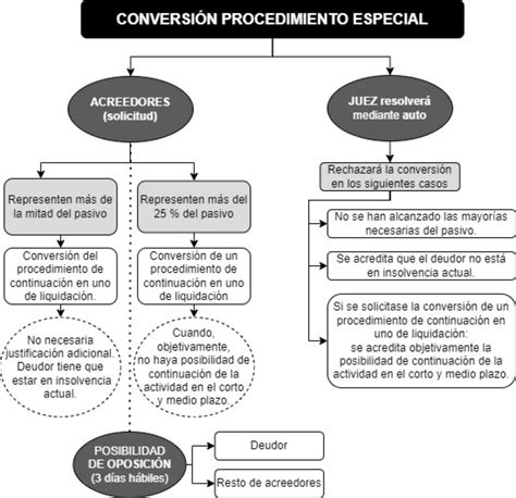 Esquema Sobre La Conversi N Del Procedimiento Especial Para