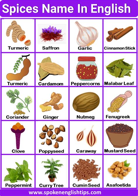 50+ Spices Name In English With Pictures ( September 2024)