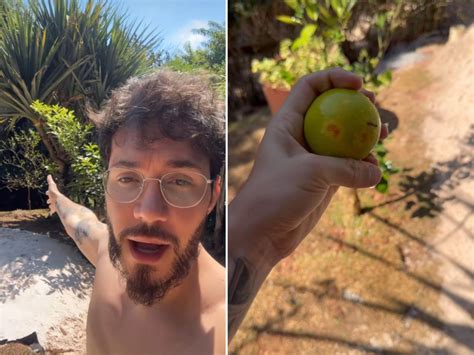 Viih Tube E Eliezer T M Pomar Mais De Dez De Rvores Frut Feras Em