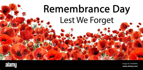 Remembrance Day Banner Red Poppy Flowers And Text Lest We Forget On