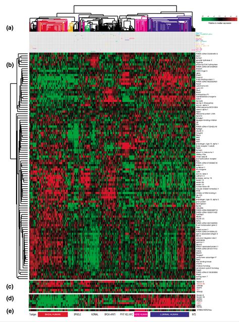 Table From Identification Of Conserved Gene Expression Features