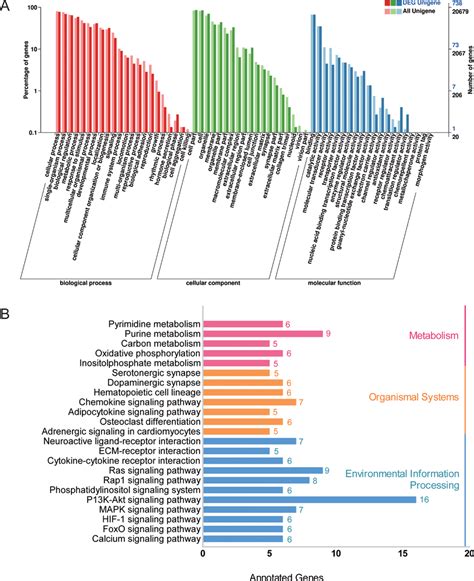 Go And Kegg Analysis Of Target Genes In Adipose Tissue A Gene