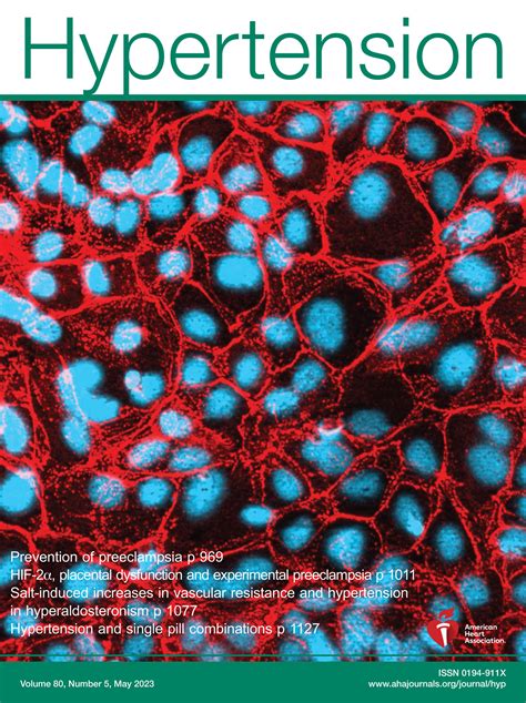 Hypertension in Primary Aldosteronism Is Initiated by Salt-Induced