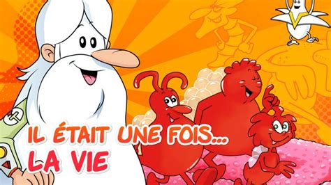 Il Tait Une Fois La Vie Tous Les Pisodes En Streaming France Tv