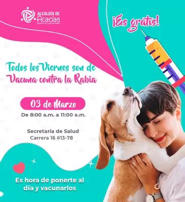 Vacunación gratuita antirrábica para perros y gatos