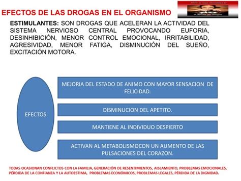 Efectos De Las Drogas Estimulantes Las Depresoras Y Las Alucinógenas