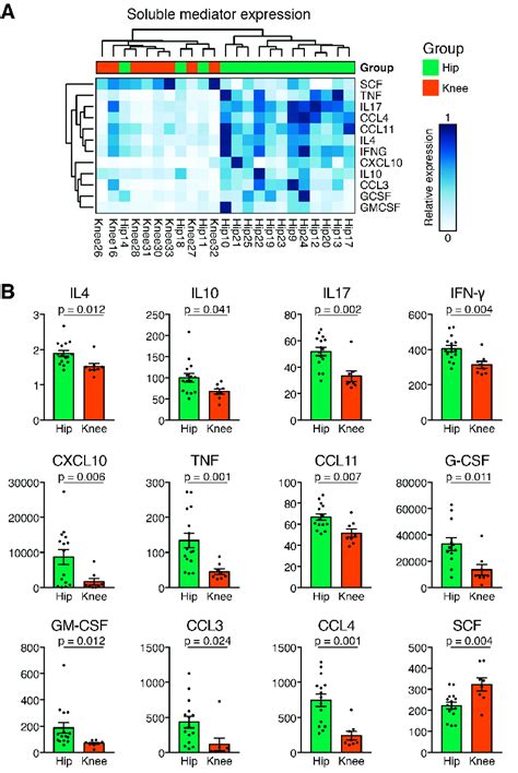 Cytokine Expression Profiles In Synovial Membrane Mononuclear Cells