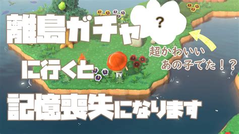 【あつ森】33連離島ガチャに行ったら記憶喪失になりました最後のオチやめてw超かわいいあの子が出た⁉推し住人を探す旅