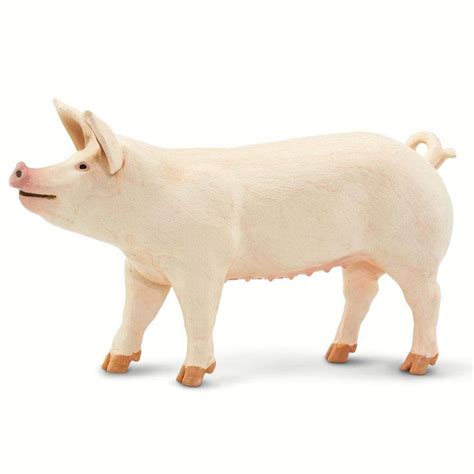 Large White Pig | Incredible Creatures | Safari Ltd®