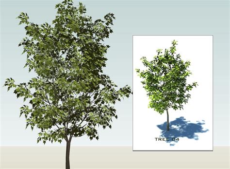 Sketchup 3d Trees Collection 1 By Sketchup Texture 51 Sketchuptexture Free 3d Model