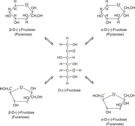fructose aus dem darm beispiele srxq