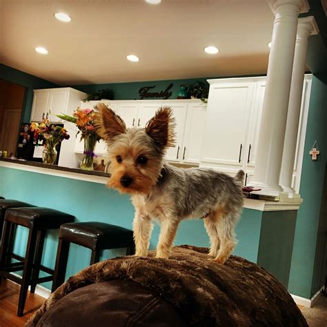 Desperate for a Fix - Home