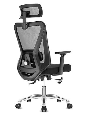 Durrafy Ergonomic Office Chair Desk Chair With Headrest Lumbar