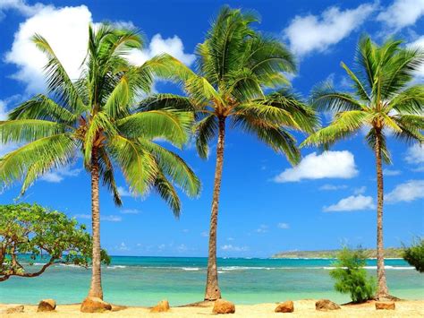 Sunny Beach Wallpapers Top Nh Ng H Nh Nh P