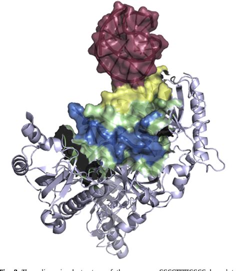 Figure 2 From The Evolving World Of Protein G Quadruplex Recognition A