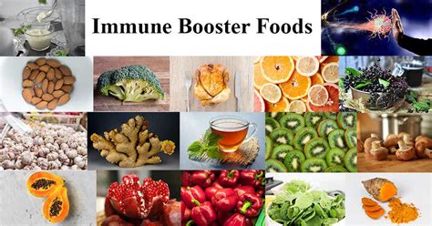 Immune Booster Foods - Microbe Notes