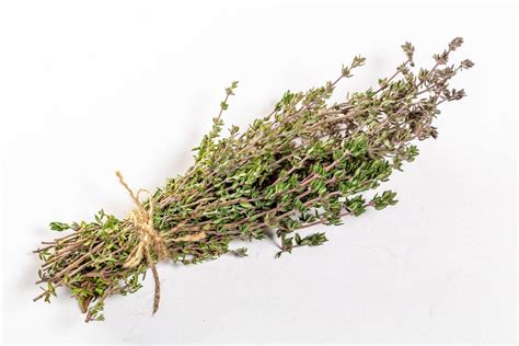 Fresh thyme on white background - Creative Commons Bilder