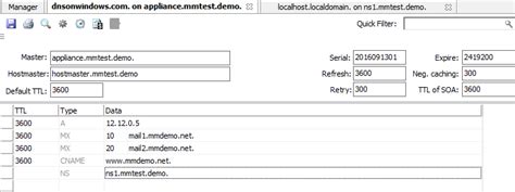 DNS Resource Records Micetro By Men Mice 9 3 Documentation