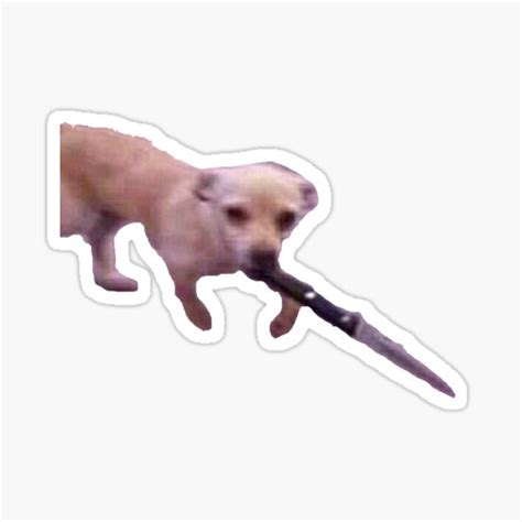 Dog With Knife Sticker By 3mmaaaaa0 Redbubble