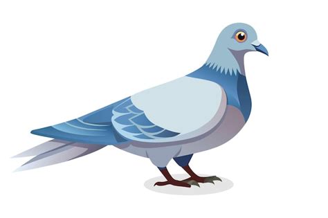 Premium Vector Dove Bird Isolated Flat Vector Illustration