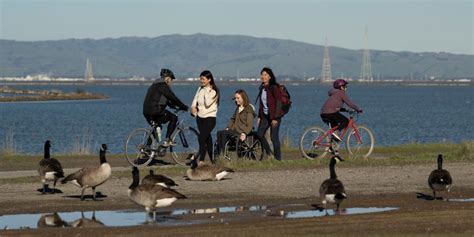 Celebrate the Bay on the San Francisco Bay Trail | The Bay Link Blog