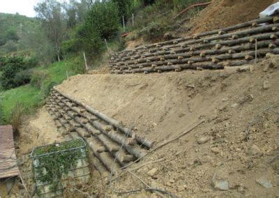 A Pile Of Logs Sitting On Top Of A Dirt Hillside