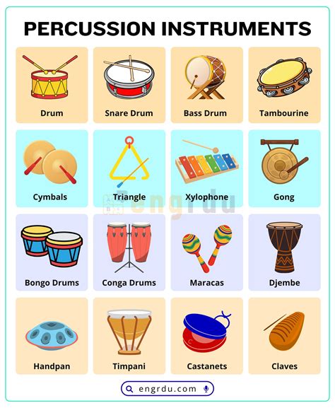 percussion instruments names    pictures engrdu
