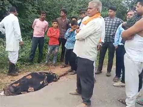 Former Sarpanchs Wife Fell From A Moving Bike Died चलती बाइक से