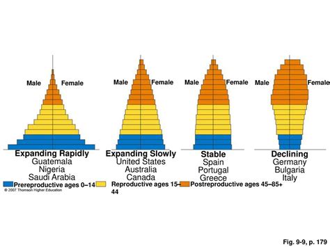 Human Population Ppt Download