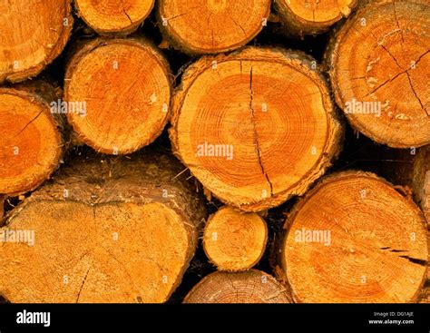 Wood pile pattern Close up Horizontal Stock Photo - Alamy