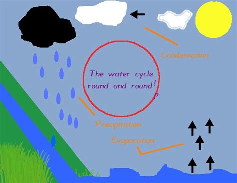 water cycle  lucy steve hodgson flickr