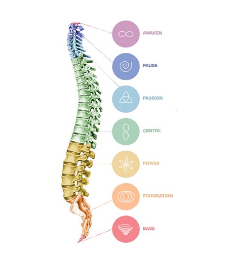 Saltwater Spinal Flow in Miami, Gold Coast - About Us — Saltwater