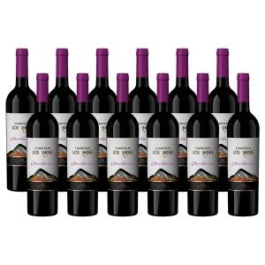 KIT 12 VINHO ATARDECER DE LOS ANDES CABERNET SAUVIGNON 750ML