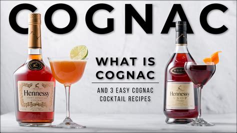 Mixed Drink Recipes With Hennessy Cognac | Dandk Organizer