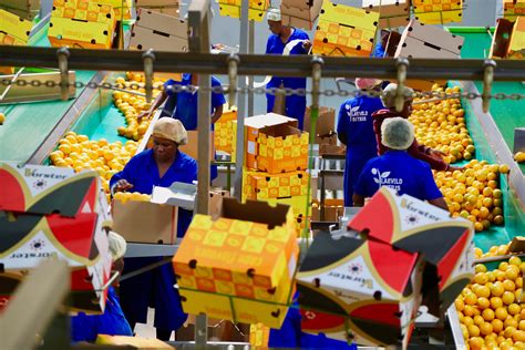 Lowveld Citrus Packhouses