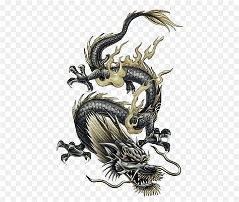 Japonesa Dragon Drag O Chin S Drag O Png Transparente Gr Tis