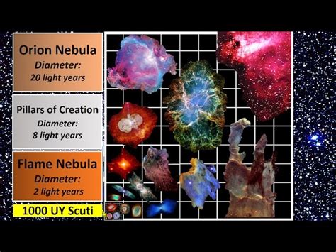 Nebula Size Chart