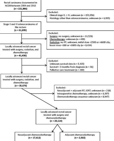 Patient Selection Diagram Ncdb National Cancer Data Base Rt Radiation