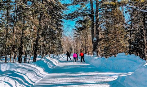 The skating trail at Arrowhead Provincial Park | Plan your winter 2022 ...