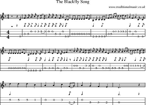 Mandolin Tab And Sheet Music For Song The Blackfly Song