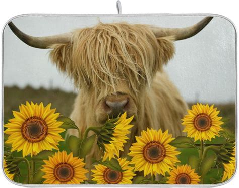 Skysonic Highland Cow In Field With Copy Space Microfiber Dish Drying