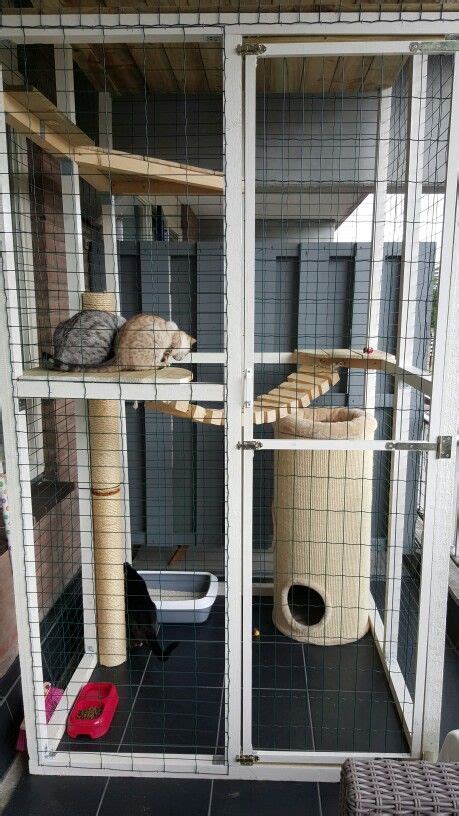 Cat Enclosure | Katten