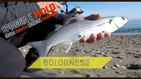 Bolognese Dalla Spiaggia E Dal Molo