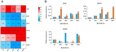 Genes Free Full Text Chitinase Chi 2 Positively Regulates Cucumber