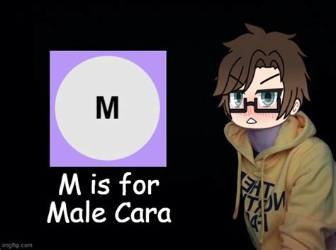 Remember M Is For Male Cara Imgflip