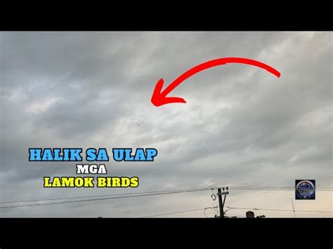 TRAPPING NA MALUPIT YouTube