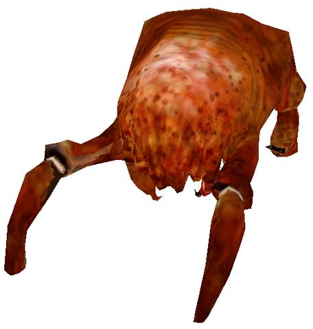 Image - HL2 Beta Headcrab.png | Half-Life Wiki | FANDOM powered by Wikia